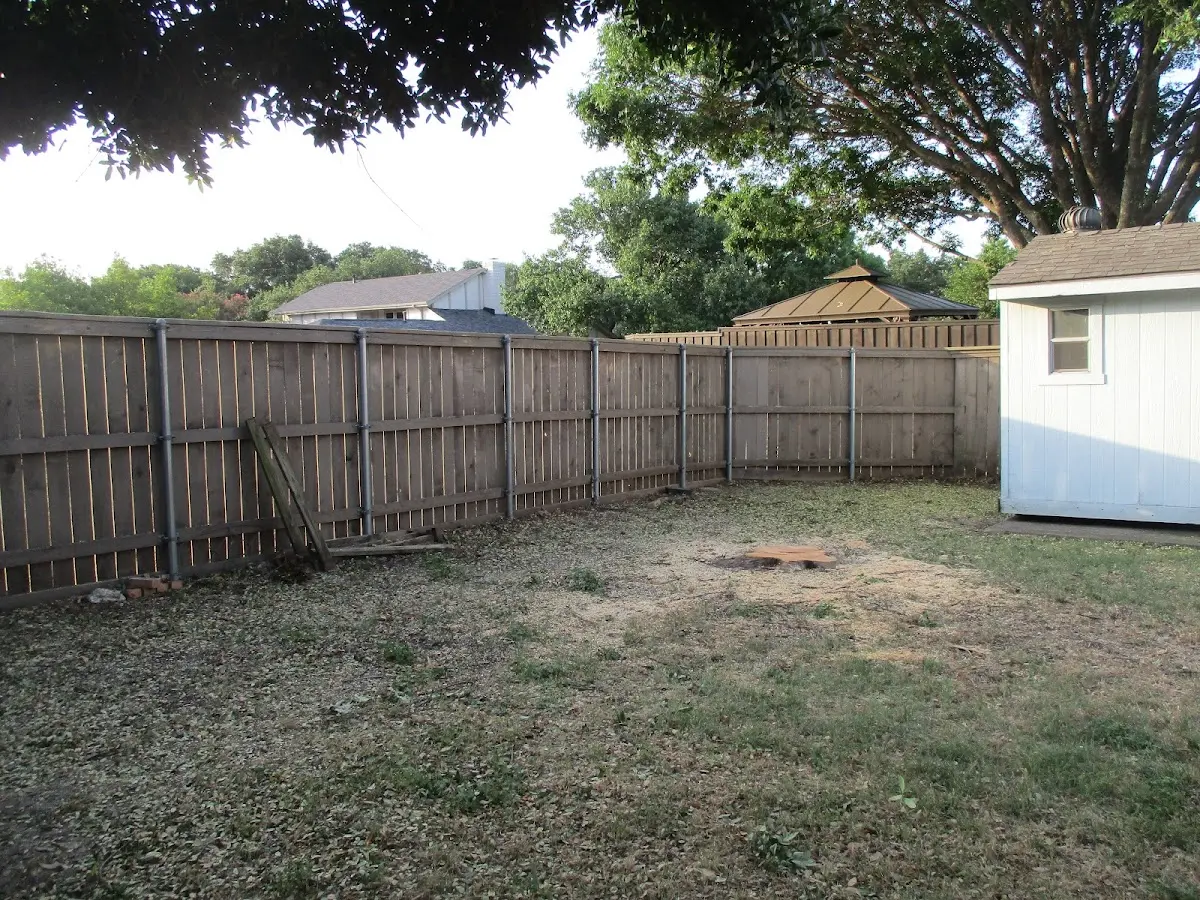Cleared yard after professional tree removal in Grant Town